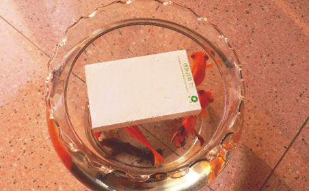 ���ظ���Ч����