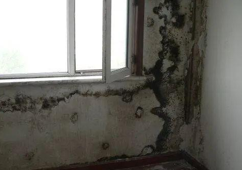 有機(jī)保溫材料和無機(jī)保溫材料易存在哪些質(zhì)量問題?